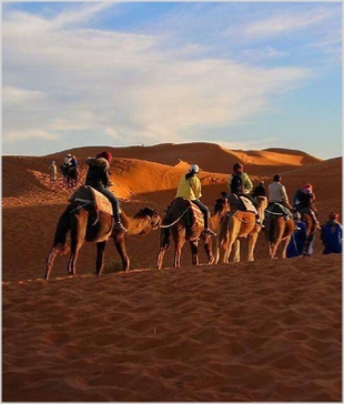 Chegaga Aventure,desert tours in Morocco,Zagora camel trek to camp